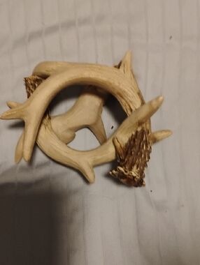 Natural Antler Wall Art Accent - Beige Antler Decor